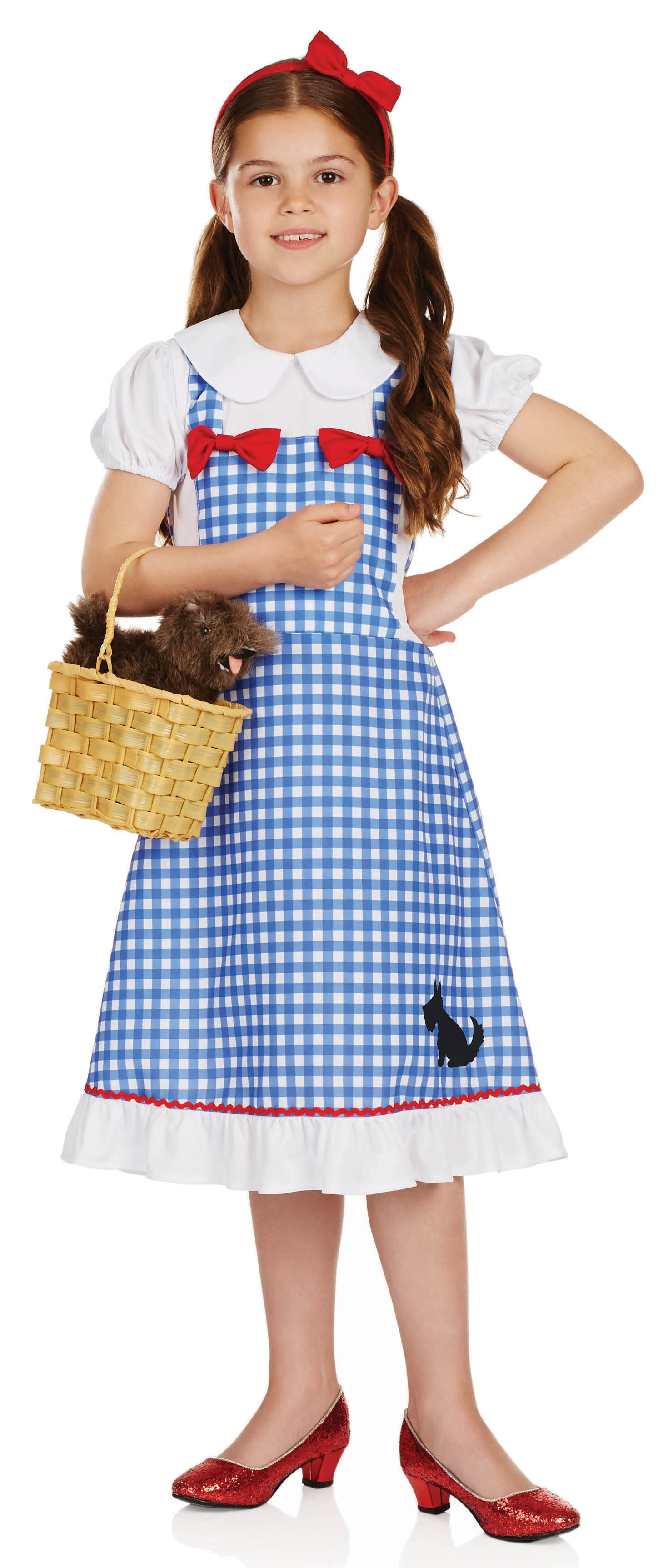 Dorothy Girls Fancy Dress Fairytale World Book Day Week Childrens Kids